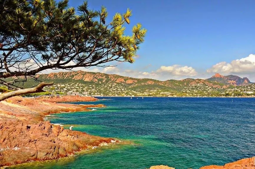 Aparthotel Hotel Et Appart Hotel Les Flots Bleus Saint-Raphael