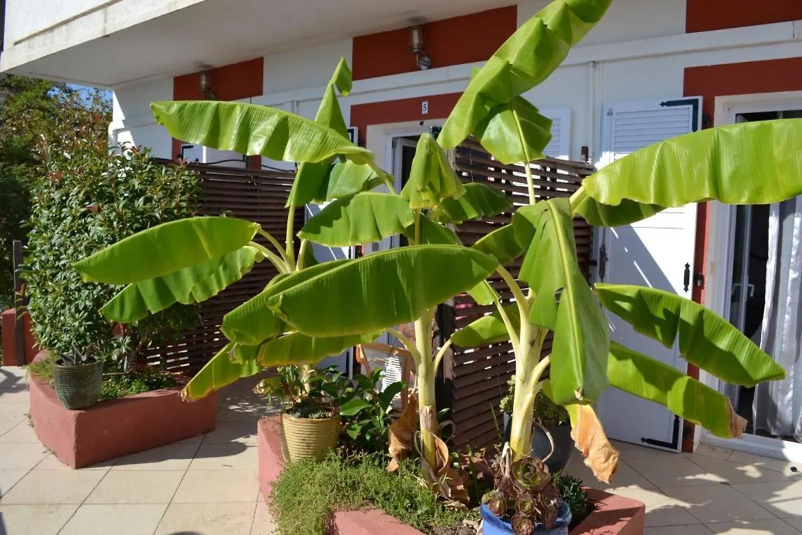 Hotel Et Appart Hotel Les Flots Bleus Saint-Raphael  Saint-Raphael (Var)